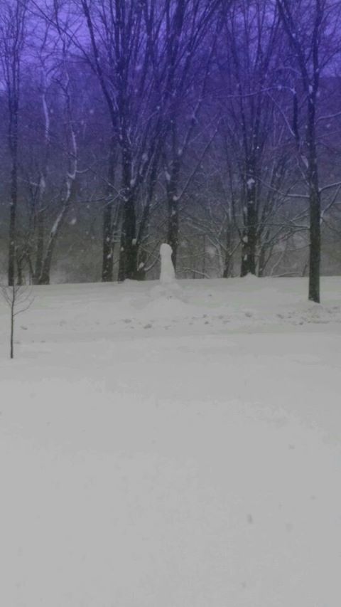 The offending snow phallus. Image provided by Michigan Review Staff